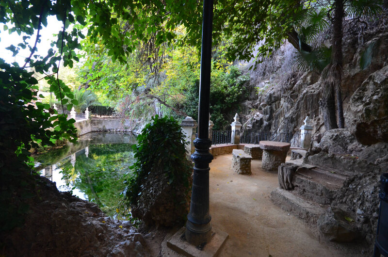 DSC_8881
