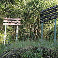 rando titi du 09 juin 2013 hell bourg, cap anglais