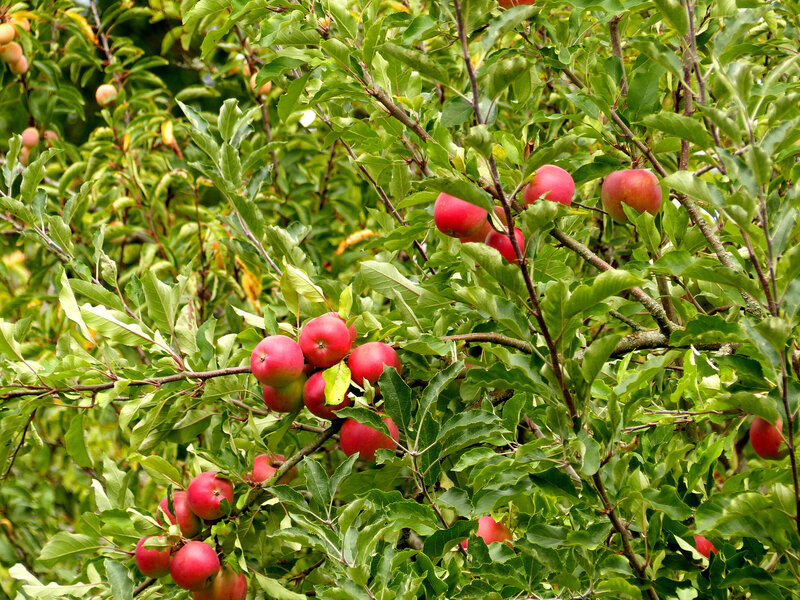 P1260429