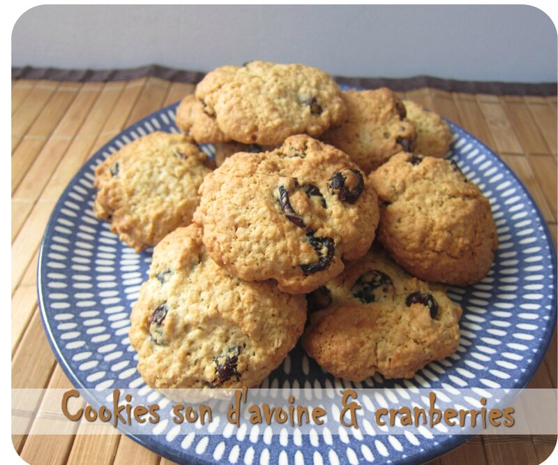 cookies son cranberries (scrap1)