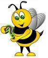 bee question1