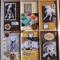 des cartes des pochettes des cadeaux des cadres