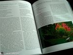 1001_Gardens