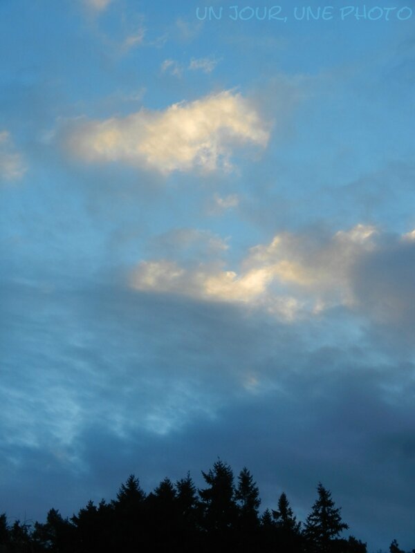 DSCN0387