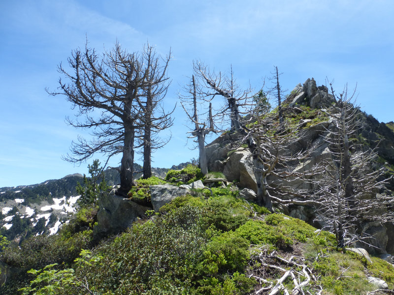 P1170477