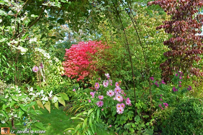Le Jardin de Chantal à Jouy-le-Potier