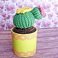 Petites plantes à crocheter ~ le cactus