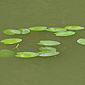 P1020541