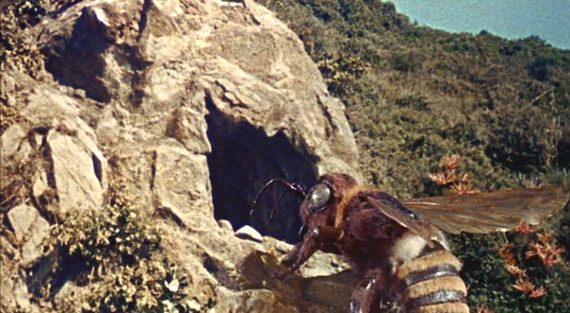 RÃ©sultat de recherche d'images pour "LâÃLE MYSTÃRIEUSE de Cy Endfield"