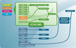 kokumi_overview
