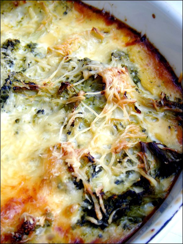 Gratin de brocolis au lait de soja Pomme verte et galette de vie