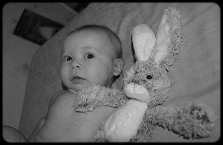 alois_buzzo_et_lapin