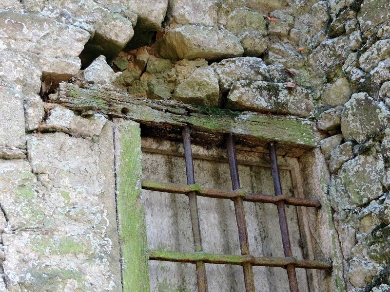 _copie-0_DSCN9752