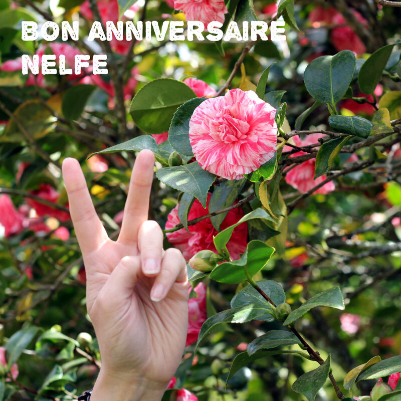 Ce qu’il faut obtenir un gars de votre pas datant pour son anniversaire