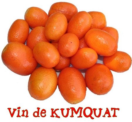 CCXXIV ¤*¤ Vin de KUMQUAT ¤*¤ - Wanderlust-NC