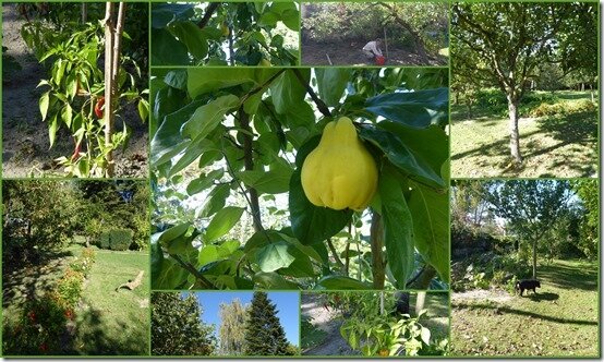jardin 30 septembre 2018