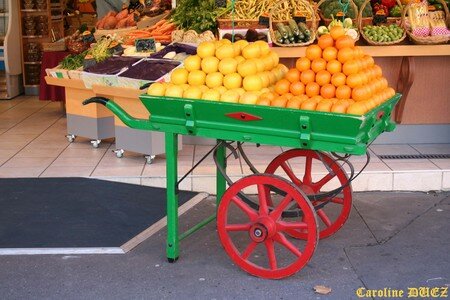31_octobre_2007_001_copie