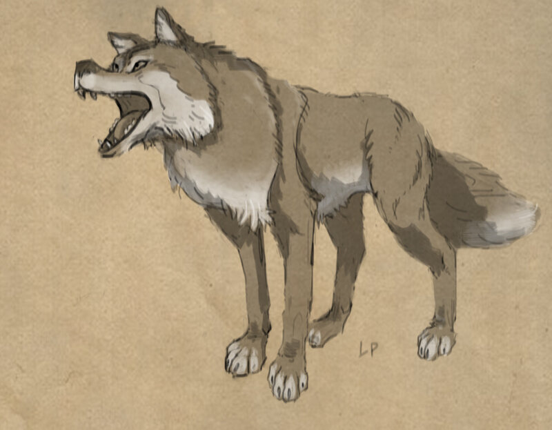 loup