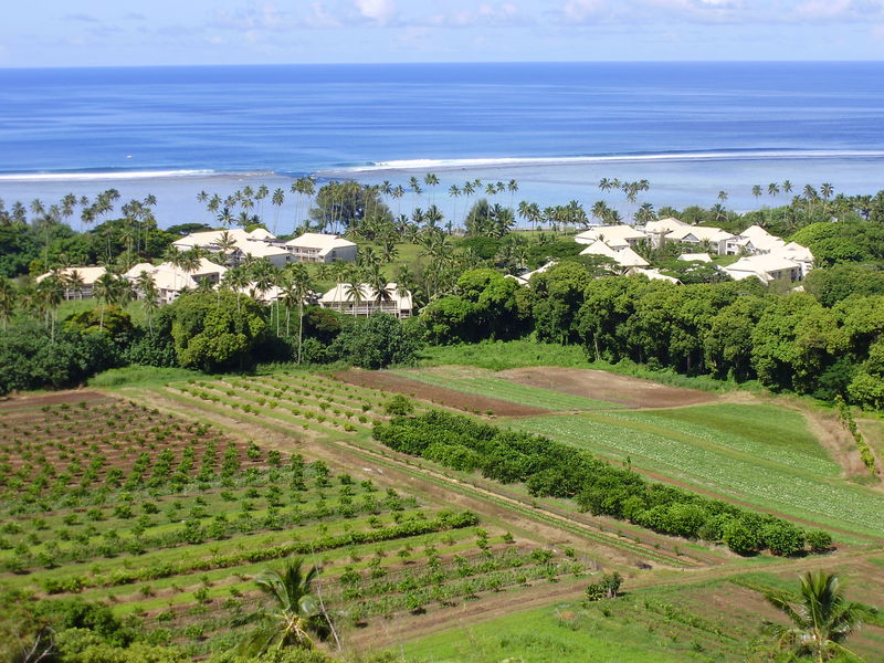 La ferme agricole de l'île - Photo de COOK ISLAND - Un certain voyage ...