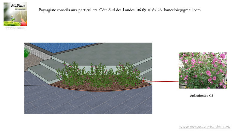 61-Concepteur-de-jardins-Mimbaste-40350-Paysagiste-Landes