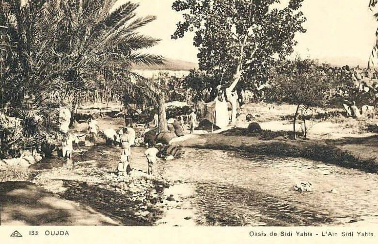 oasis Sidi Yahia cpa (1)