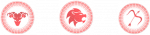 Paysagiste Pays Basque : signes zodiac feu