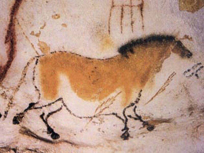 Grotte de Lascaux, cheval