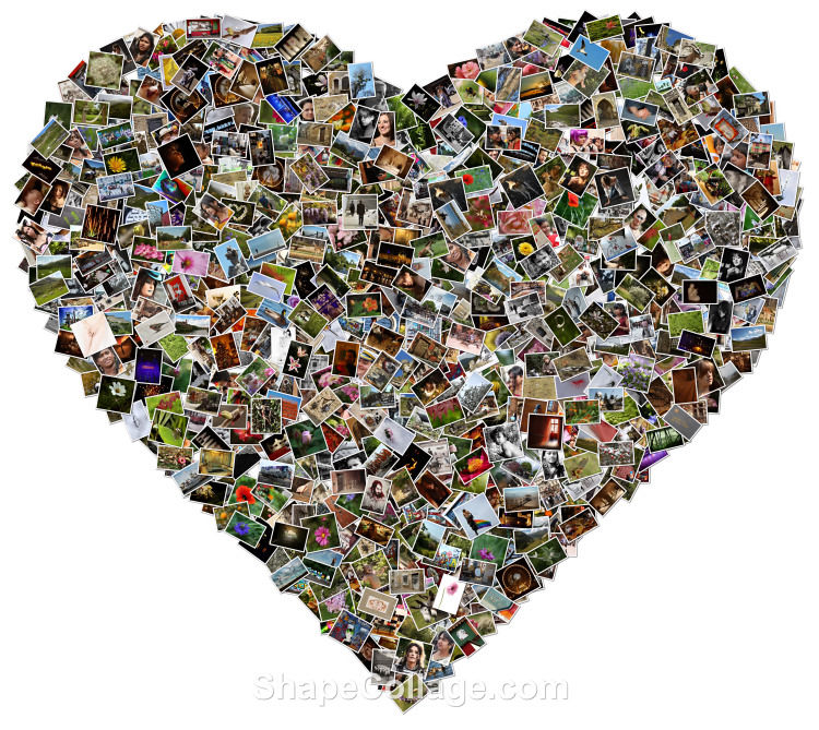collagecoeur750