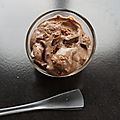 Frozen yoghurt chocolat noisette sans sorbetière