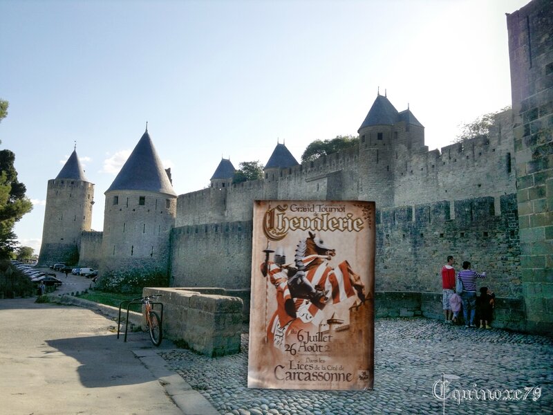 voyagez dans le temps en train du futur Puy du Fou - Carcassone (2)