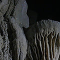 P1140217
