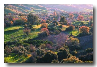 chypre_paysage