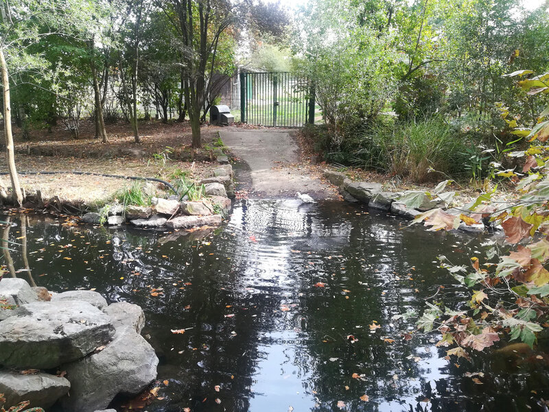 parc Labesse, 26 oct 2018 (12)