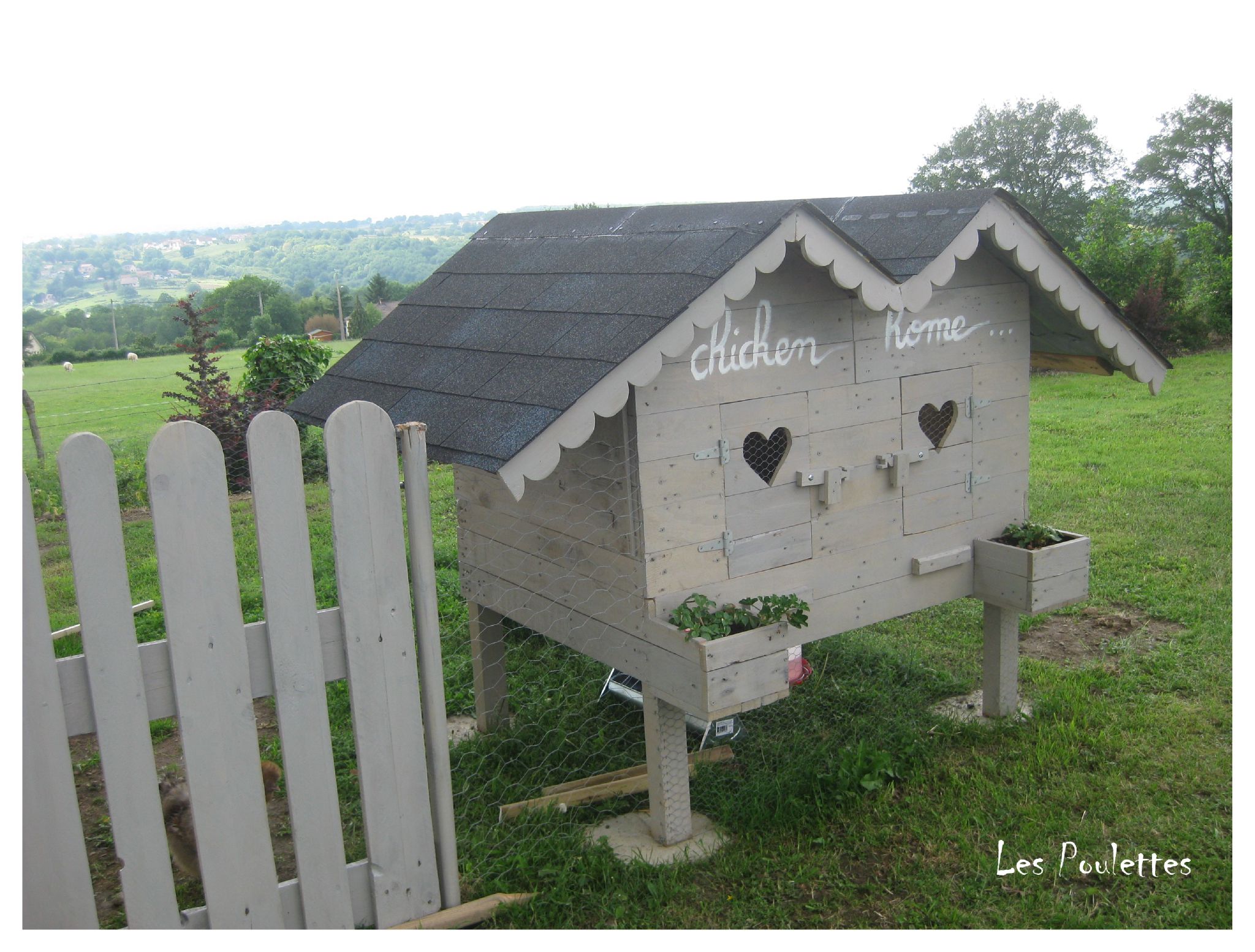 Une Poule Qui Picoresur Un Mur Les Ficelles De Lily