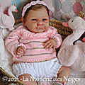 NDN-Maude-0040
