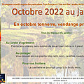 👨‍🌾 octobre 2022 au jardin par paysagiste pays basque et paysagiste landes.