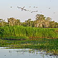 Parc national du kakadu
