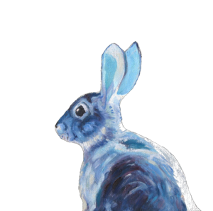 Lapin bleu