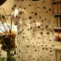 mars 2008 005