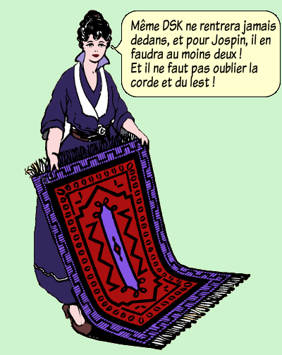 Segolenenettoyeuse1