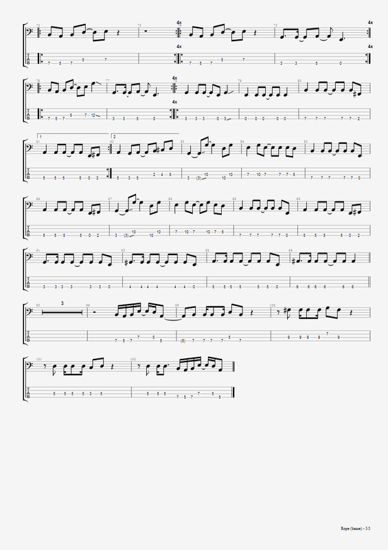 Foo Fighters Rope Hamstab