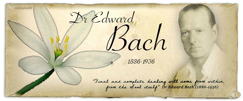 Citation Du Dr Bach Les Ecrits Originaux Du Docteur Bach Marion Fleurs