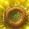 DSCN5850