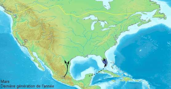 Danaus_plexippus_migration_map_in_North_America-fr