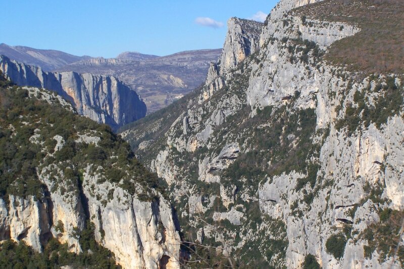1verdon