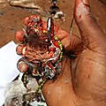 Anti-vol de maitre gounou, puissant marabout d'afrique