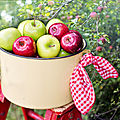 La pomme, bonne pour notre santé, proverbe anglais !