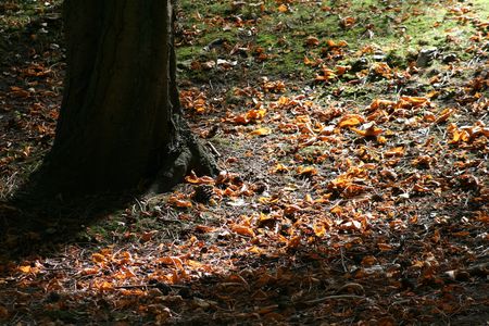 7_au_10_septembre_2007_571