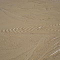 traces sur le sable 5