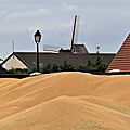 IMG_4179
